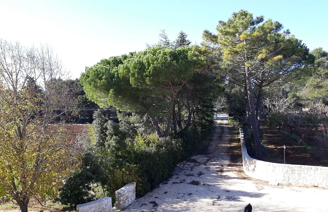 B&B Trulli E Mare-1